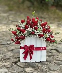 باکس گل ژیپسوفیلا و توت فرنگی نوبرونه فلوبار