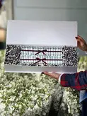 باکس گل و اسکناس آرایی فلوبار