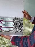 باکس گل و اسکناس آرایی فلوبار