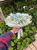 دسته گل رز با اسکناس آرایی فلوبار