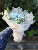 دسته گل اسکناس آرایی فلوبار