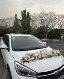 ماشین عروس آریزو سفید فلوبار