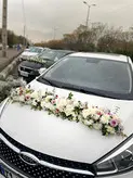ماشین عروس آریزو سفید فلوبار