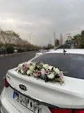 ماشین عروس آریزو سفید فلوبار