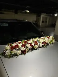 ماشین عروس ۴۰۵ نقره ای فلوبار