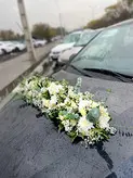 ماشین عروس تارا مشکی فلوبار