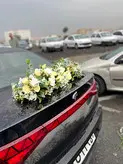 ماشین عروس تارا مشکی فلوبار