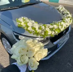 ماشین عروس دنا نقره ای فلوبار