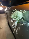 ماشین عروس دنا نقره ای فلوبار