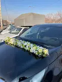 ماشین عروس اسپورتیج مشکی فلوبار