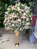 ‎جام گل گلبهی بله برون فلوبار
