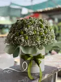 باکس گل ژیپسوفیلا و گوجه سبز نوبرونه فلوبار