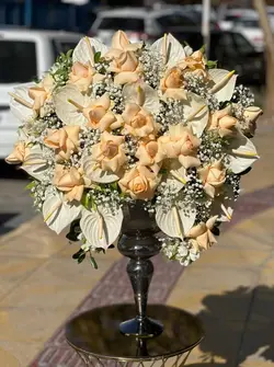 ‎جام گل گلبهی بله برون فلوبار