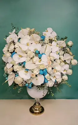 جام گل بله برون آبی فلوبار