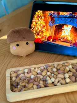 عروسک بلوطی