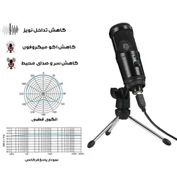 میکروفون استودیویی مدل RK-USB-1 به همراه پاپ فیلتر و پایه 
