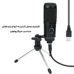 میکروفون استودیویی مدل RK-USB-1 به همراه پاپ فیلتر و پایه 
