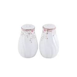 نمکدان گلدکیش طرح سوئیتی کد GK701103 بسته 2 عددی