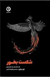 شکست بخور: یک راهنمای ضد خودیاری - مرکز فرهنگی آبی شیراز