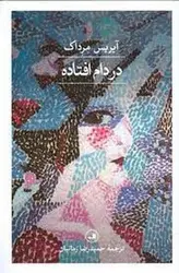 در دام افتاده - مرکز فرهنگی آبی شیراز