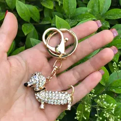 جاسوییچی کد 16