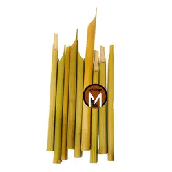 قلم نی خوشنویسی کوچک