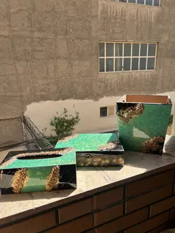 جا دستمال کاغذی چوبی - noyanresin