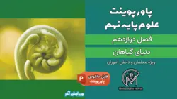 پاورپوینت دنیای گیاهان – فصل 12 علوم پایه نهم (21 اسلاید)