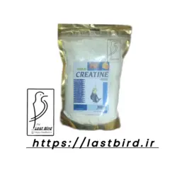 غذا کمکی طوطیسانان کراتین تخم مرغی