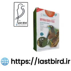 غذا مینا و پرندگان حشره خوار Mahan