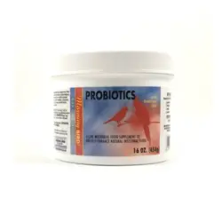 پروبیوتیک PROBIOTICS مورنینگ برد آمریکا