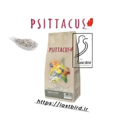 کلسیم گریت طوطیسانان سیتاکوس اسپانیا