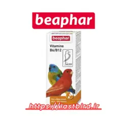 Vitamin B6 & B12 ویتامین ب6 و ب12 بیفار هلند