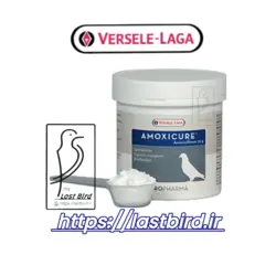 پودر آموکسی کیور AMOXICURE ورسلاگا بلژیک آنتی بیوتیک پرندگان
