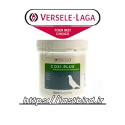 Coxi plus کوکسی پلاس ورسلاگا بلژیک