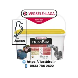 آ19 غذای کمکی A19 ورسلاگا بلژیک