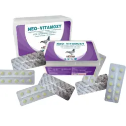 قرص آنتی‌بیوتیک NEO-VITAMOXY ککسینگ