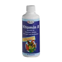 Vitamin B ویتامین بی کویکو آلمان
