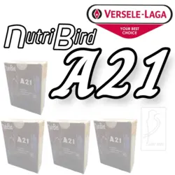 فروش عمده A21 نوتری برد