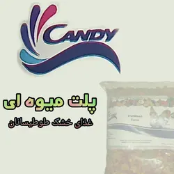 غذای پلت طوطیسانان کندی مدل میوه ای وزن 500 گرم