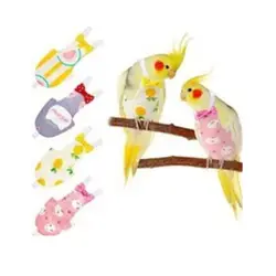 پوشک عروس هلندی و پرندگان هم جثه