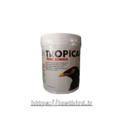 غذا مینا Essential تروپیکن