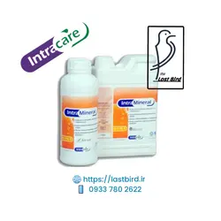 مینرال Mineral اینترا هلند