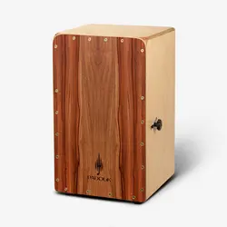 کاخن فنری بدنه کرم پادوک (3طرح)