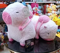 خوکچه هندی - فروشگاه خاص لند (سلیم نژاد)