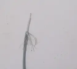 سیم انتن مخصوص کارتخوان