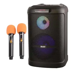 اسپیکر بلوتوثی برودو مدل Brodu BTS 2101 به همراه دوعدد میکروفون حرفه ای با تضمین بالاترین کیفیت