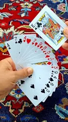 پاسور رالی ( پاسور ماشین)