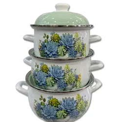 سرویس قابلمه لعابی لبه استیل  طرح کاکتوس  درب سبز  کد 223