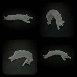 فیجت گربه مفصلی